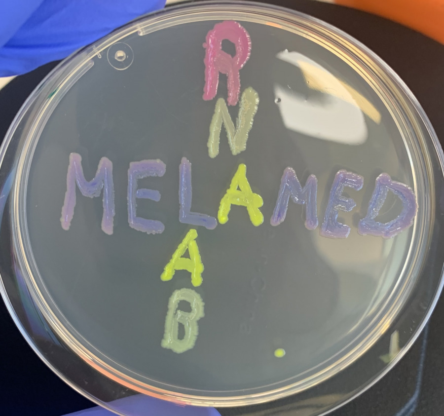 Lab Logo
