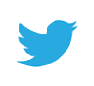 Twitter bird