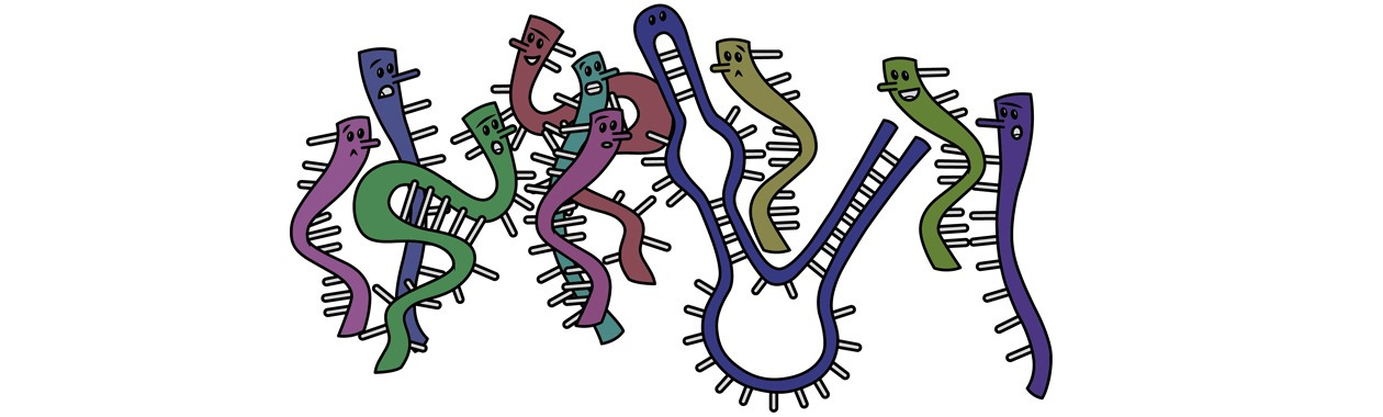 RNA Dance
