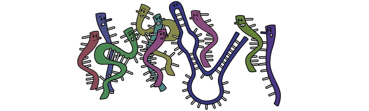 RNA_DANCE