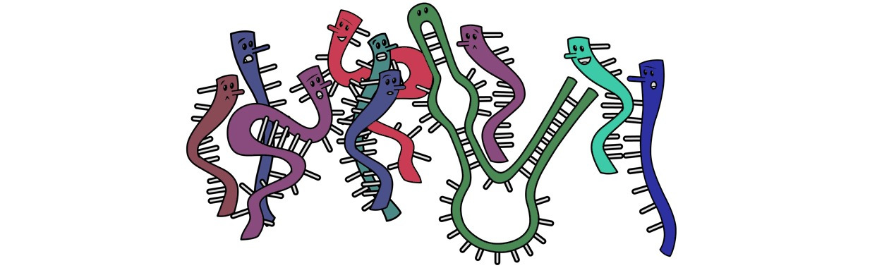 RNA_DANCE